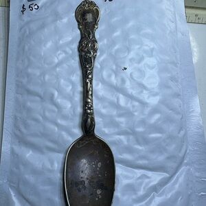 Elegant Silver Spoon